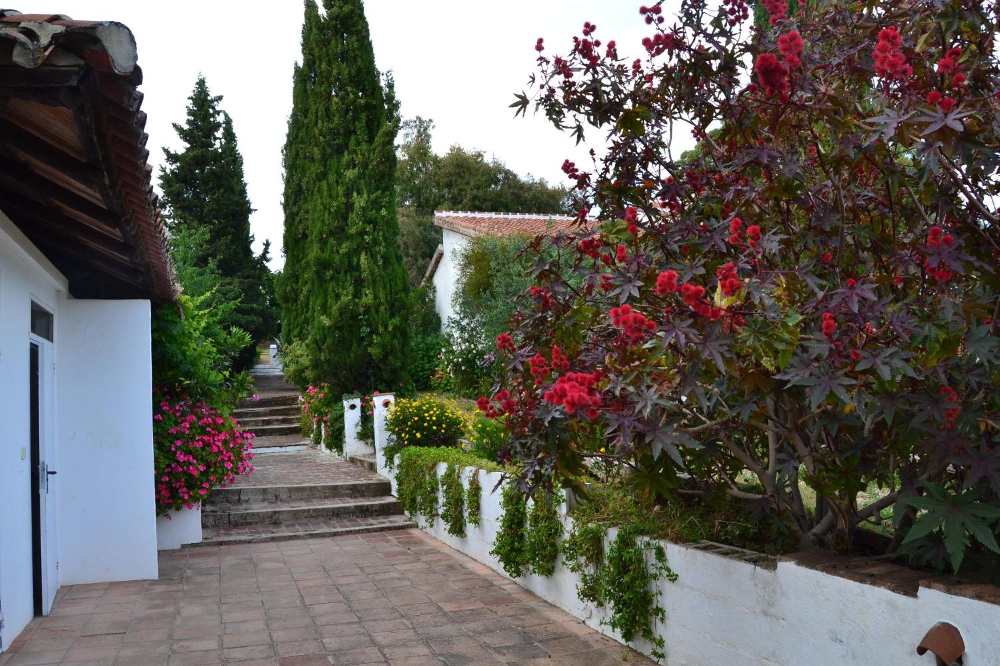 Las Navezuelas Cazalla de la Sierra Exterior photo